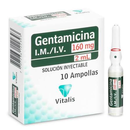 Gentamicina 160 mg 2 mL Vitali