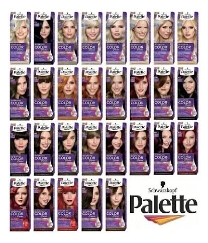 Palette tinte para el cabello