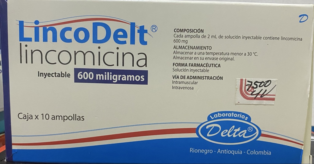 LincoDelt Lincomicina inyectable 600 mg