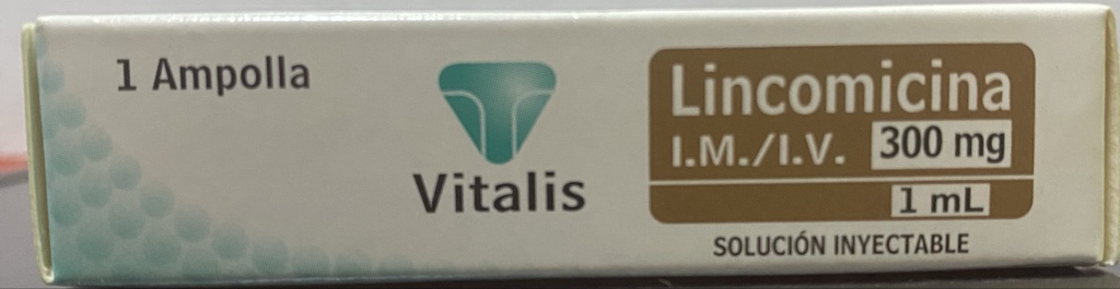 Vitalis Lincomicina 300mg ampolla