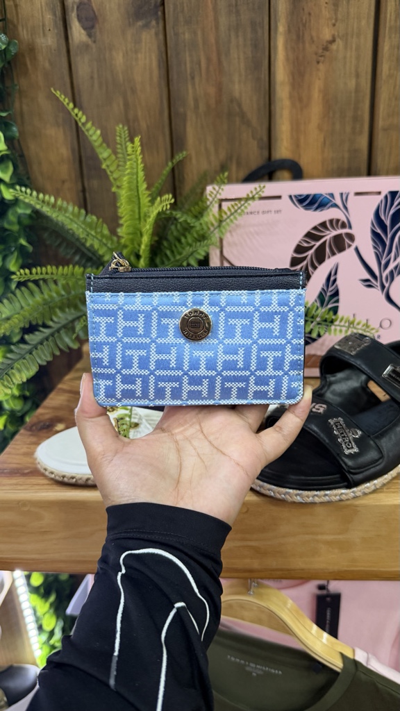 Monedero Tommy 2100