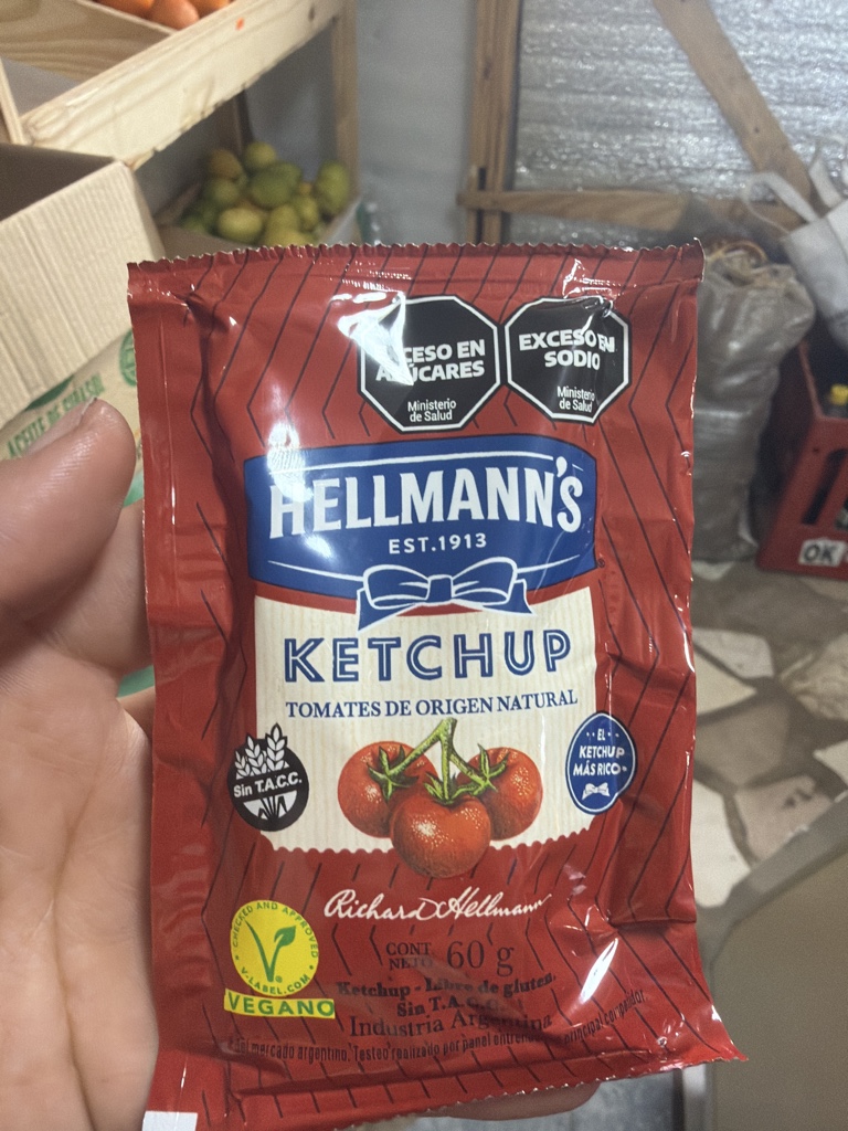 KETCHUP HELLMANNS X60G