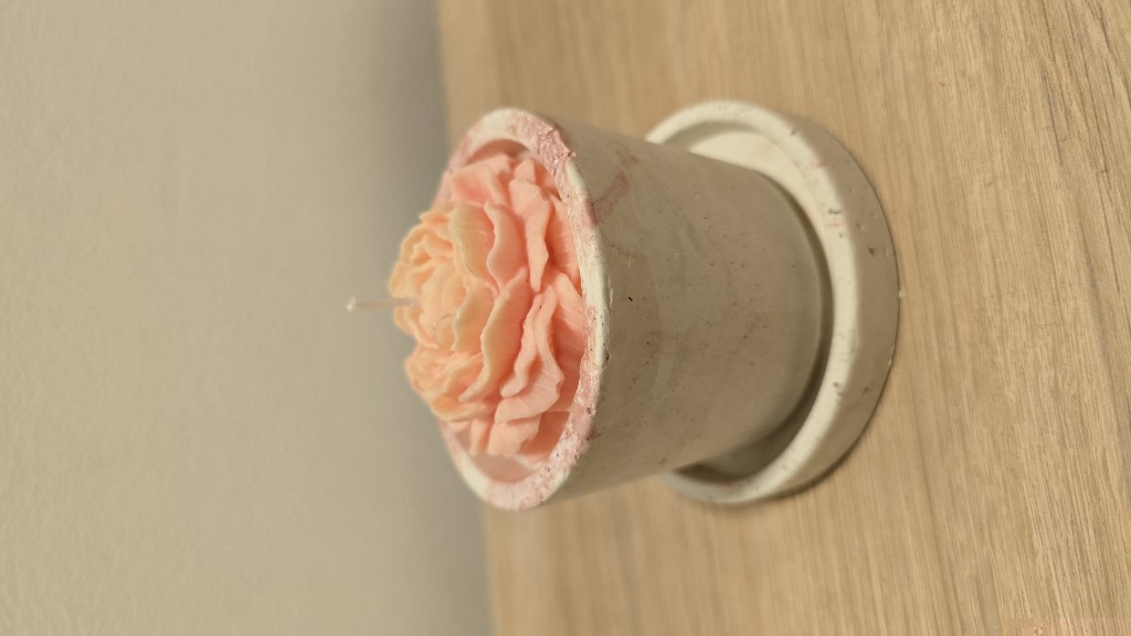 Vela rosa en maceta