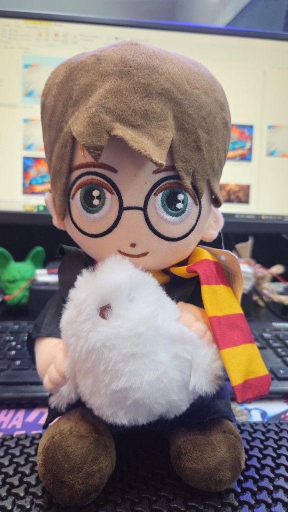 HARRY POTTER