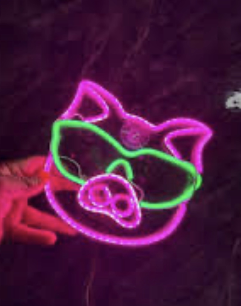 PUERCO LED