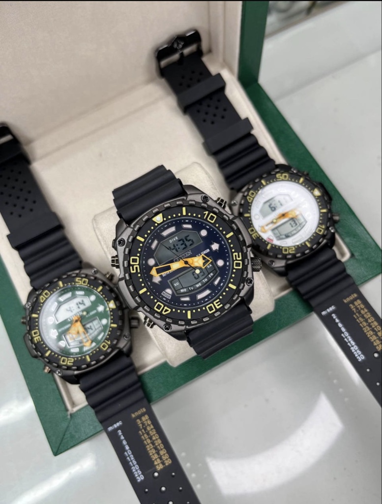 CITIZEN - Aquamount