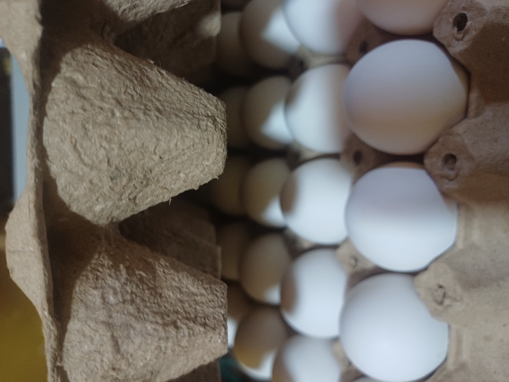Huevos