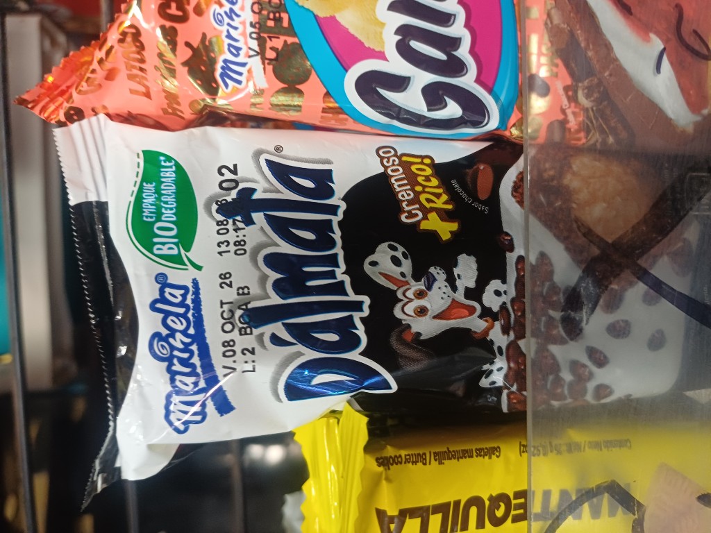 Dalmata galleta