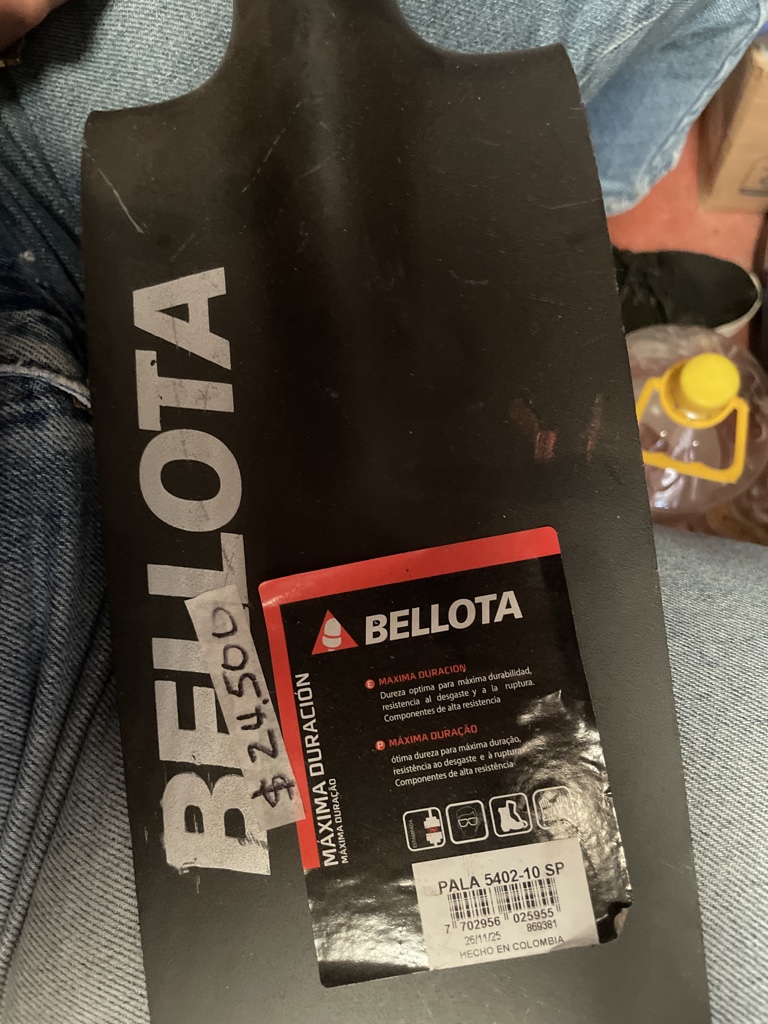 Bellota pala angosta  negra