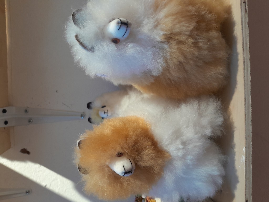 Llamas