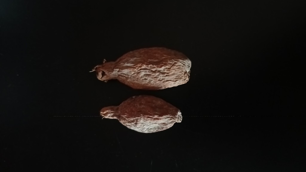 Fava de Ataré