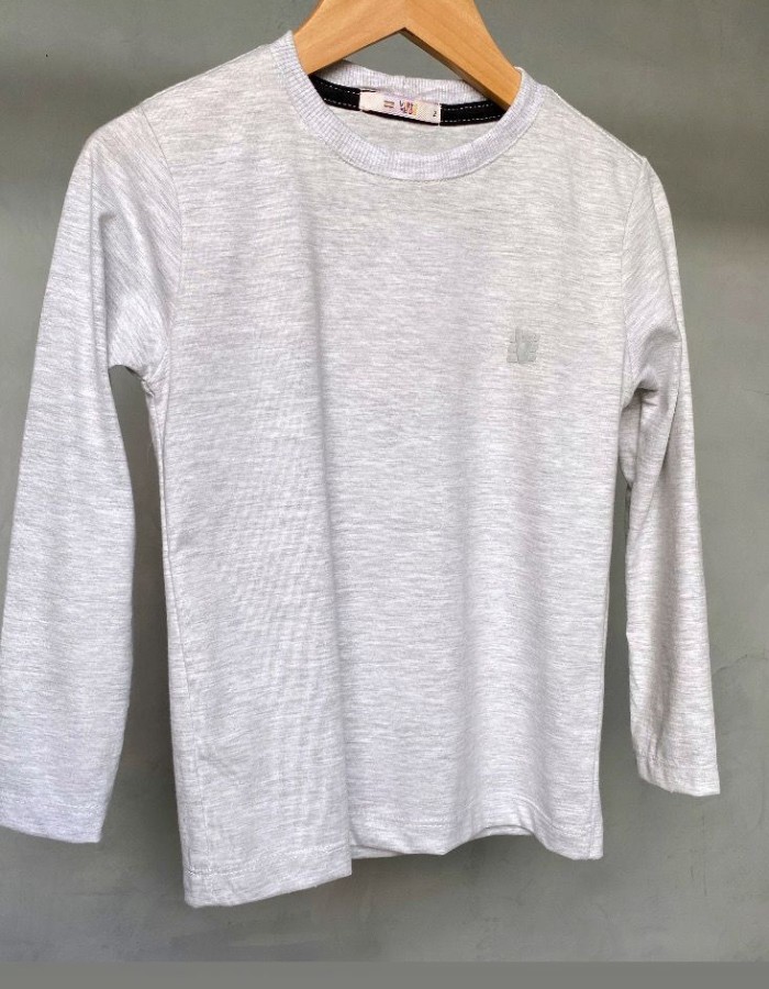 Camisa manga longa cinza