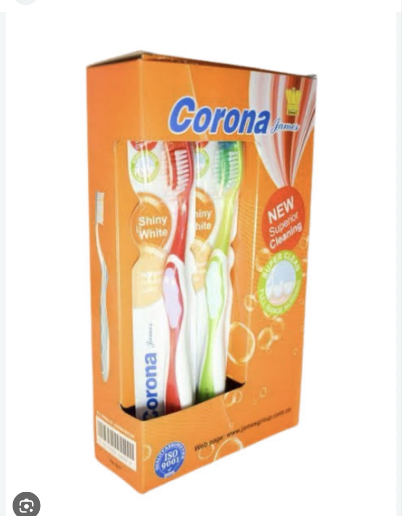 Cepillo Corona adulto  por 12