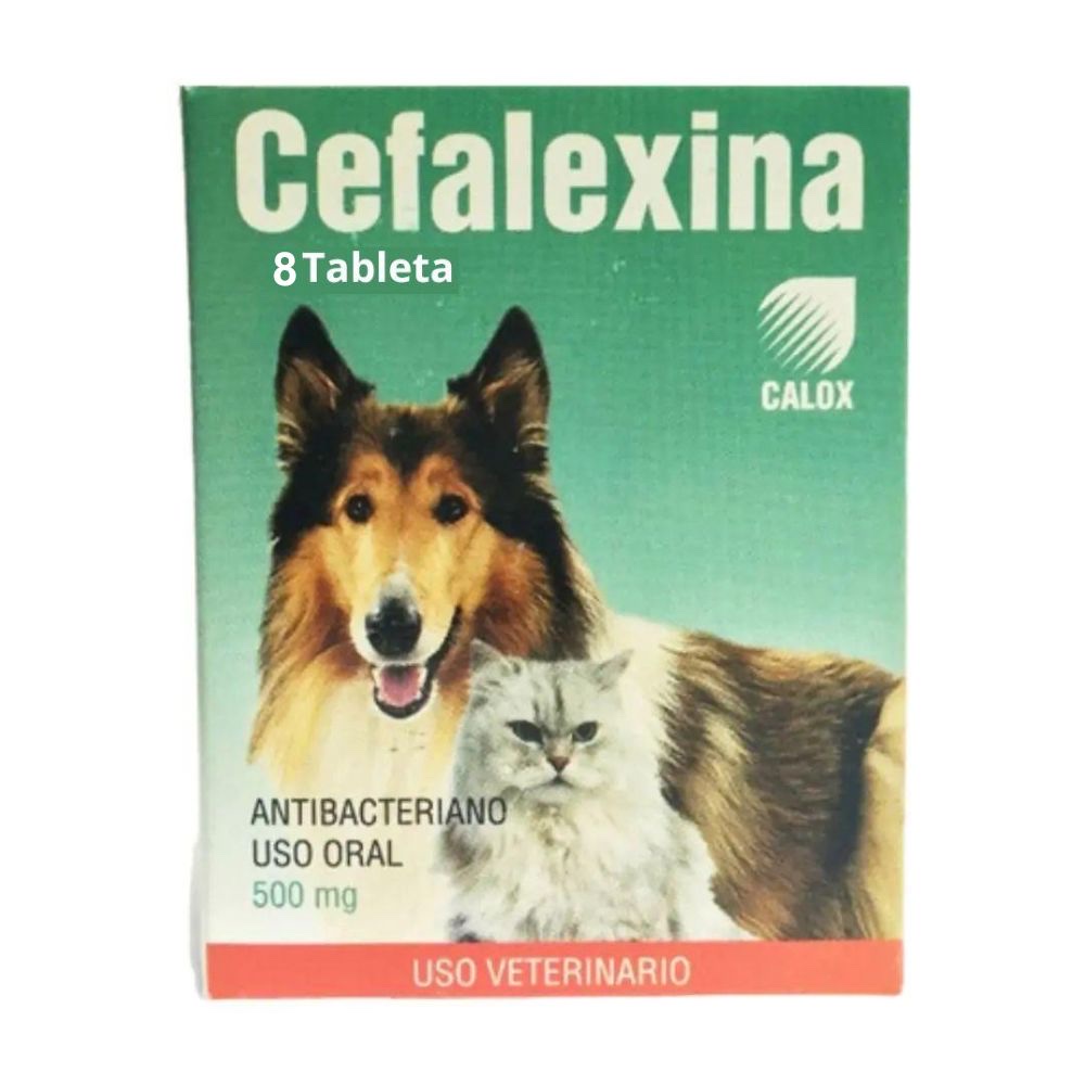 Cefalexina CALOX 500mg