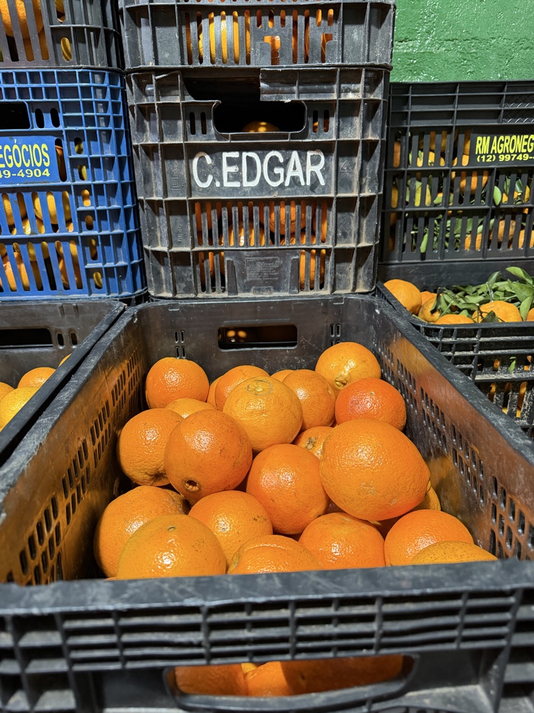 Laranja BAHIA