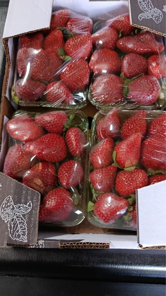 Morango