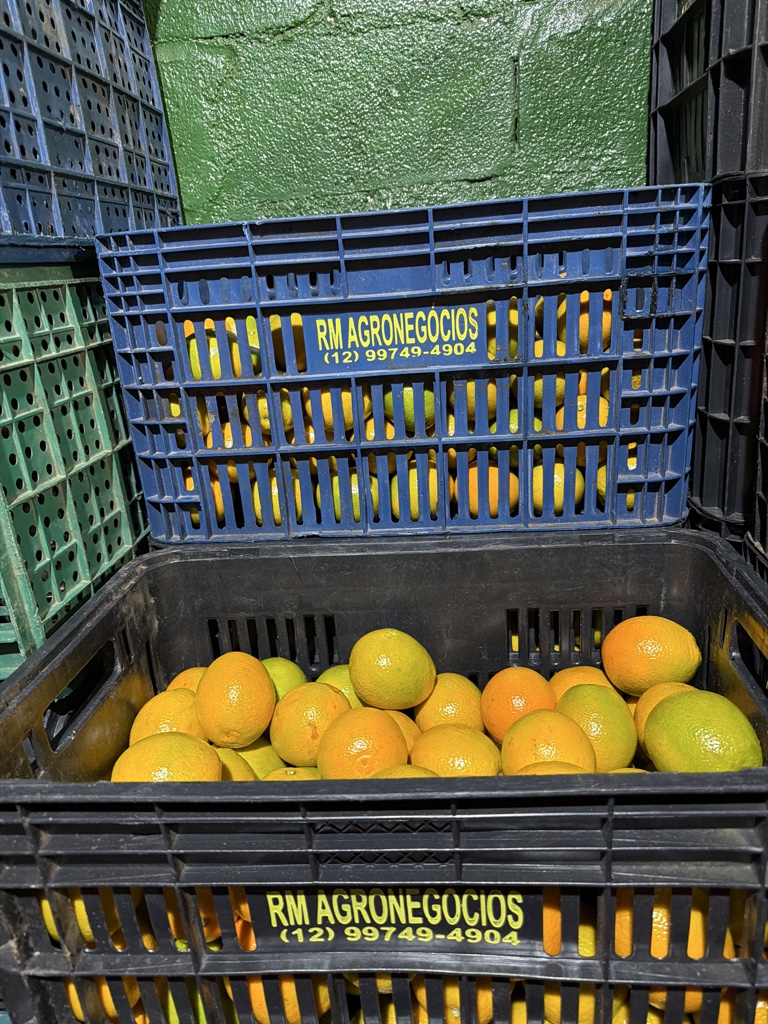 Laranja boa