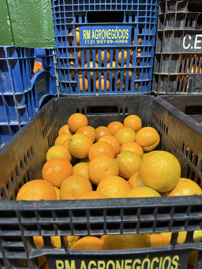 Laranja LIMA