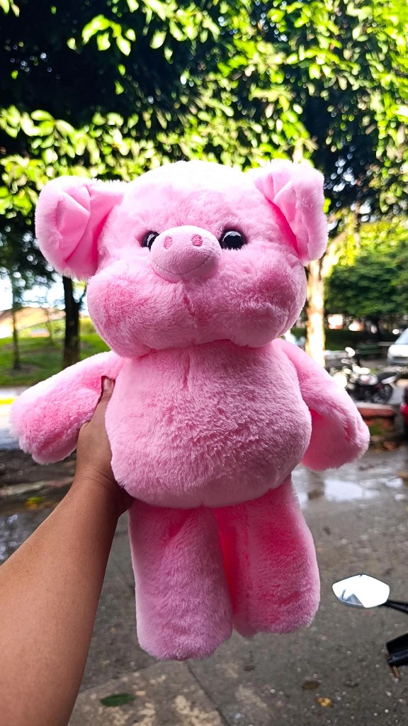 Cerdito que Corre Rosado