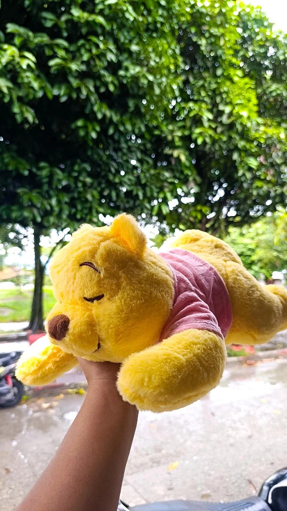 Winnie Pooh acostado