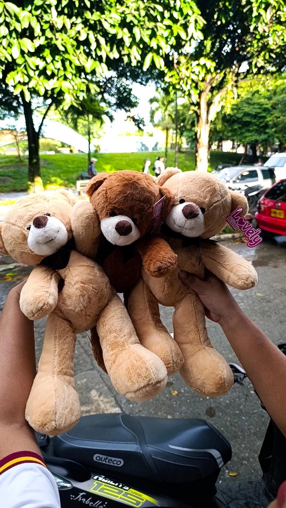 Oso pequeño patas largas