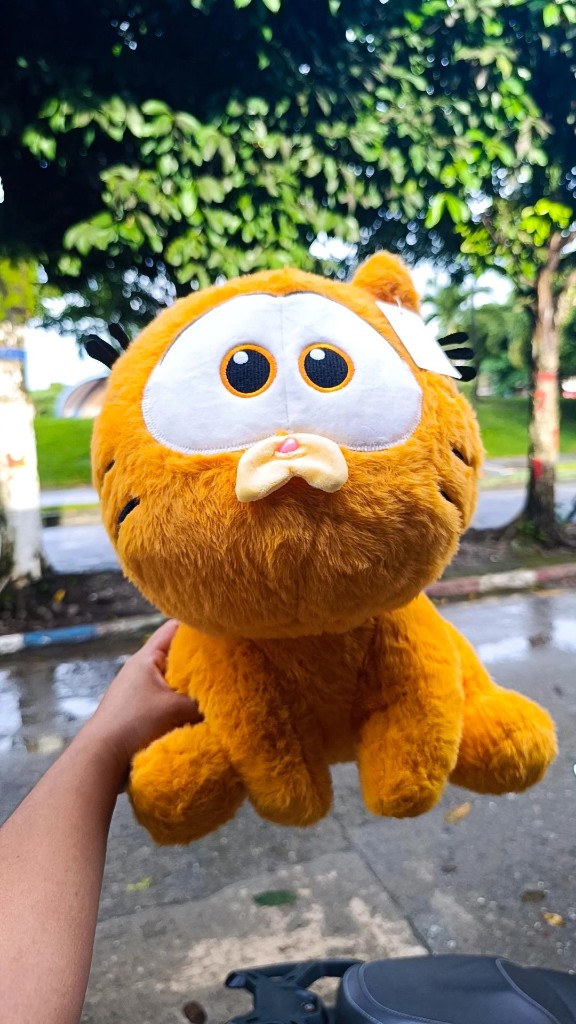 Garfield Bebe mediano