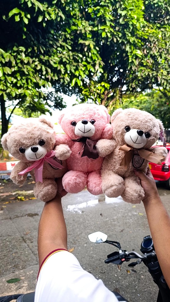 Osos pequeño moño