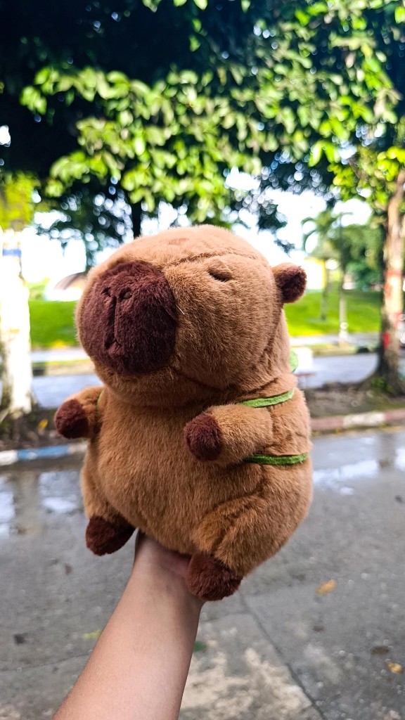 Capibara pequeño
