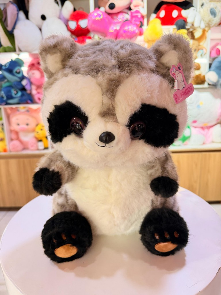 Mapache Mediano