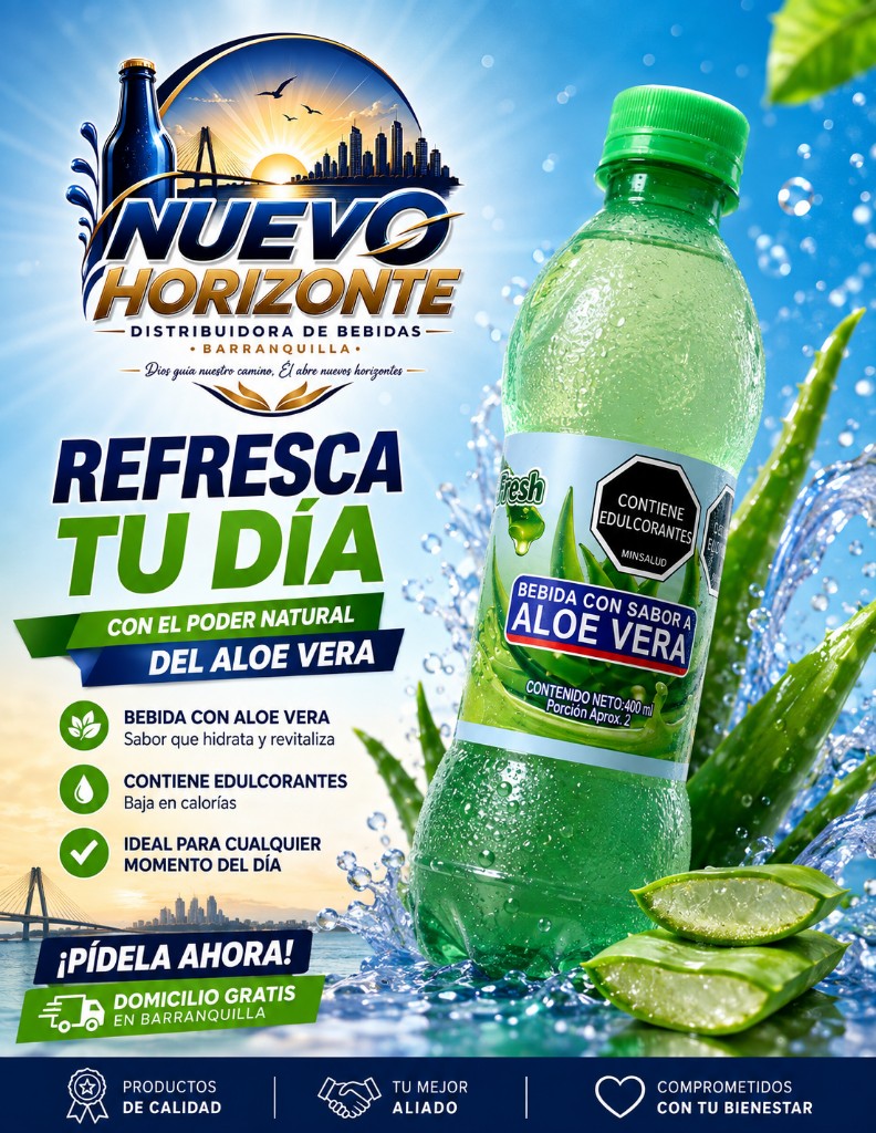 Aloe Vera bebida 400ml x 12