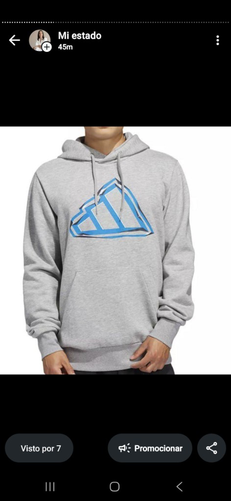 ADIDAS Buzo gris con capucha