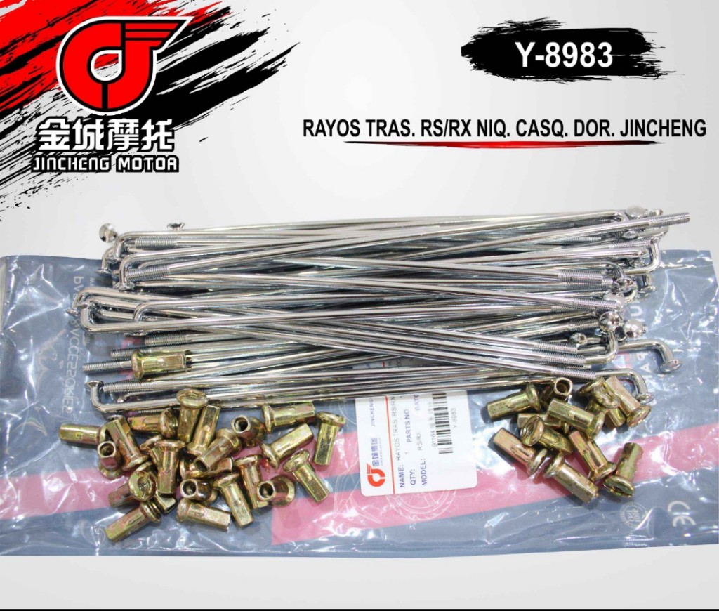 JUEGO RAYOS 183 RX100 Y DELANTERO CG ARO 17