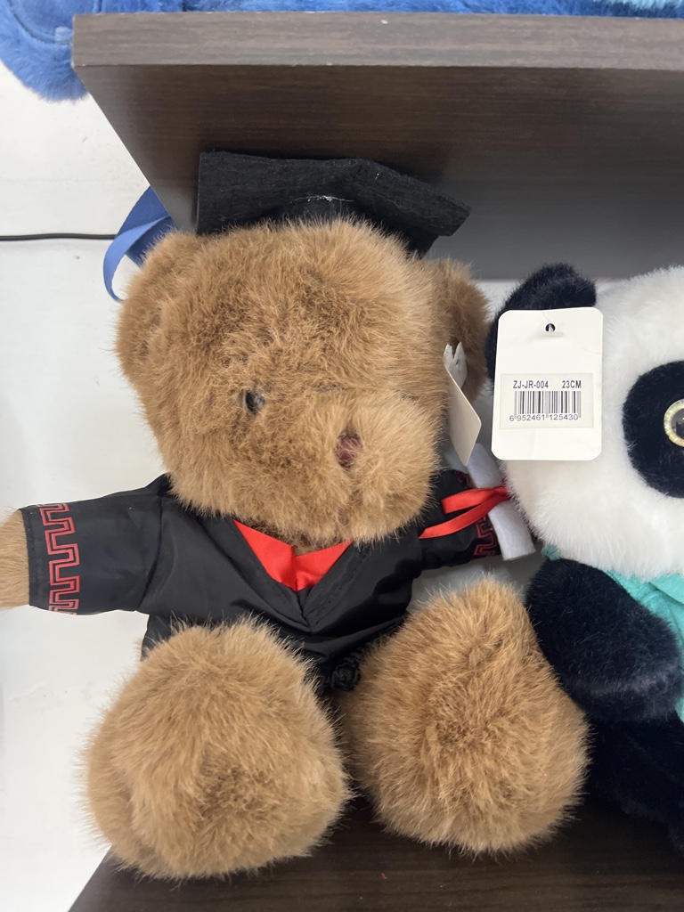 Oso de graduación 20 cm negro