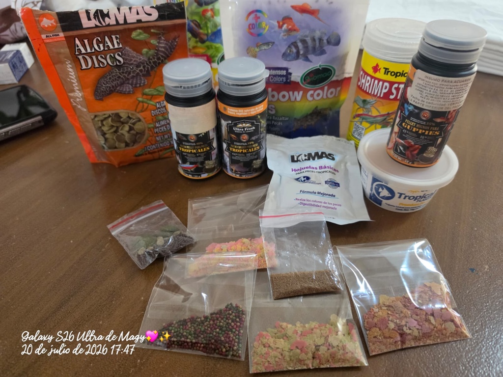 Alimento surtido
