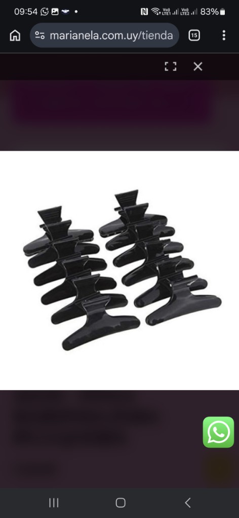 Pinzas negras para cabello