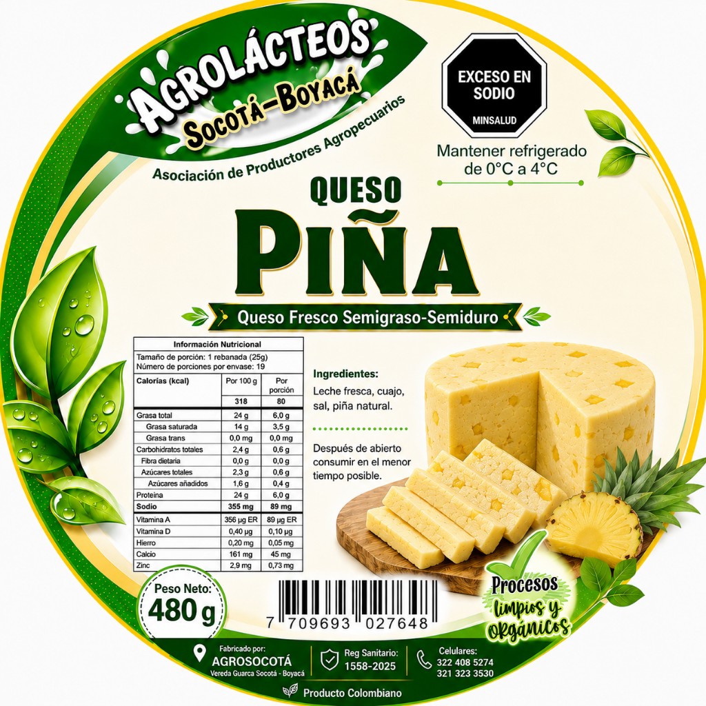 Queso Piña 480g