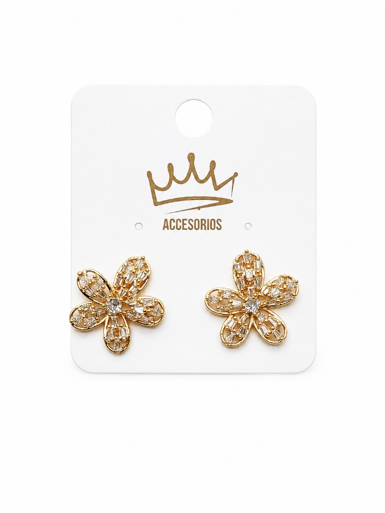Aretes fiesta