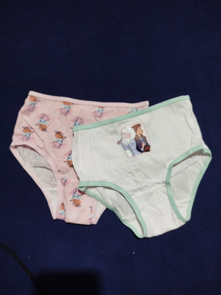 Frozen 6 briefs 4T