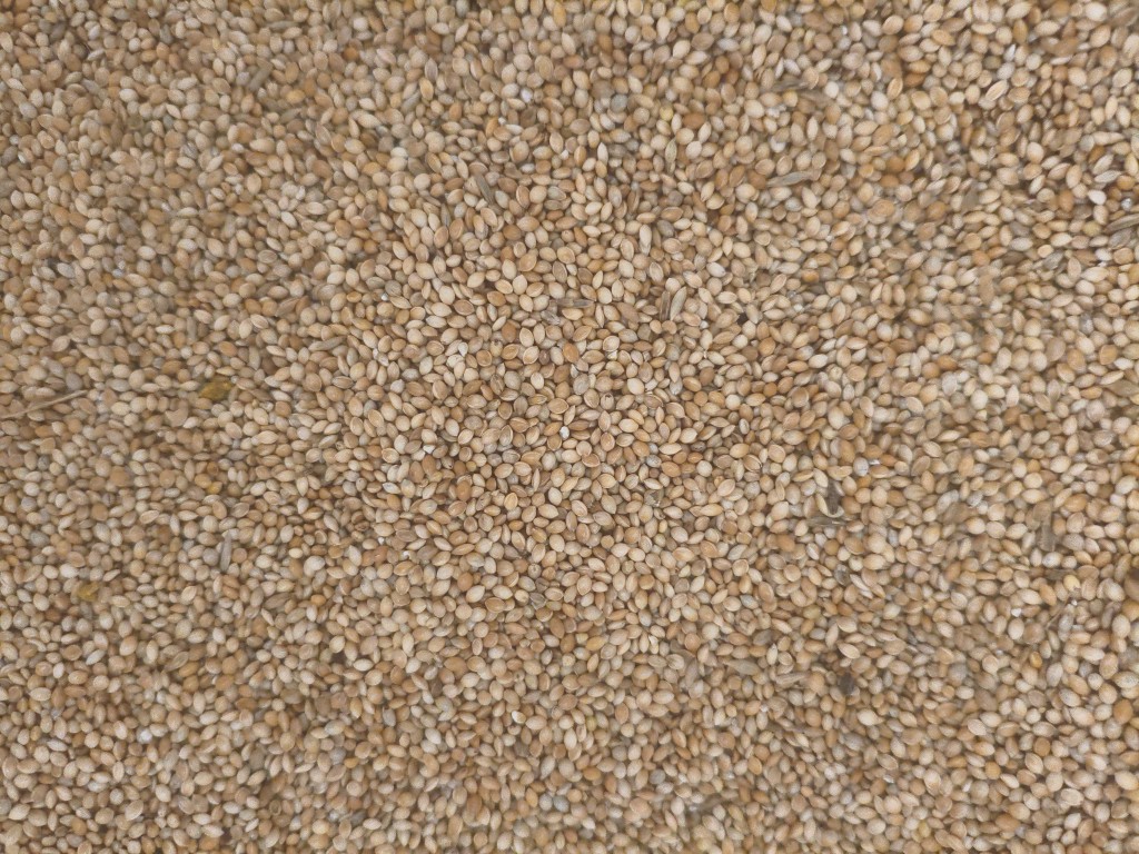 Painço comum Granel 1kg