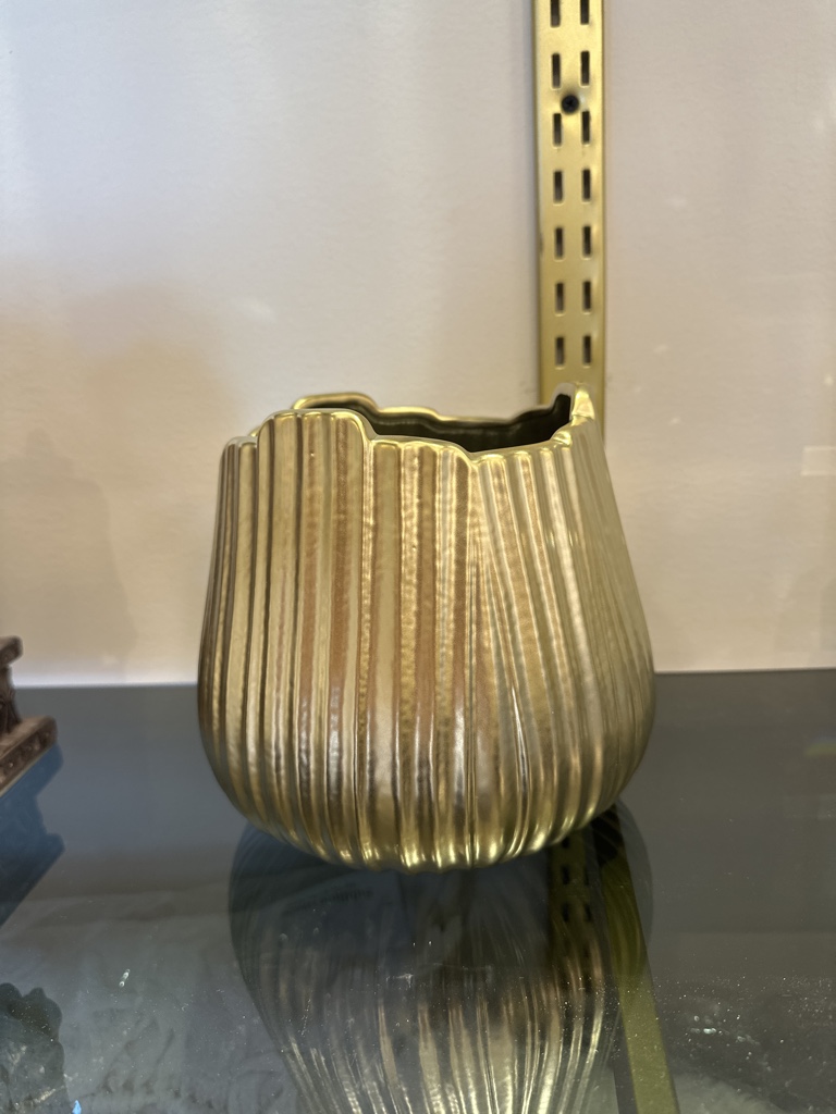 Bowl dorado de rallas