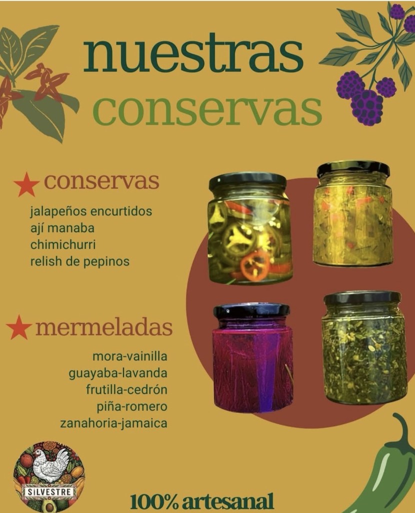 Conservas saladas
