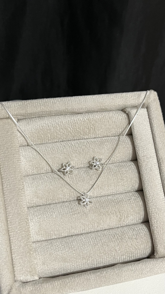 Conjunto flor cravejada
