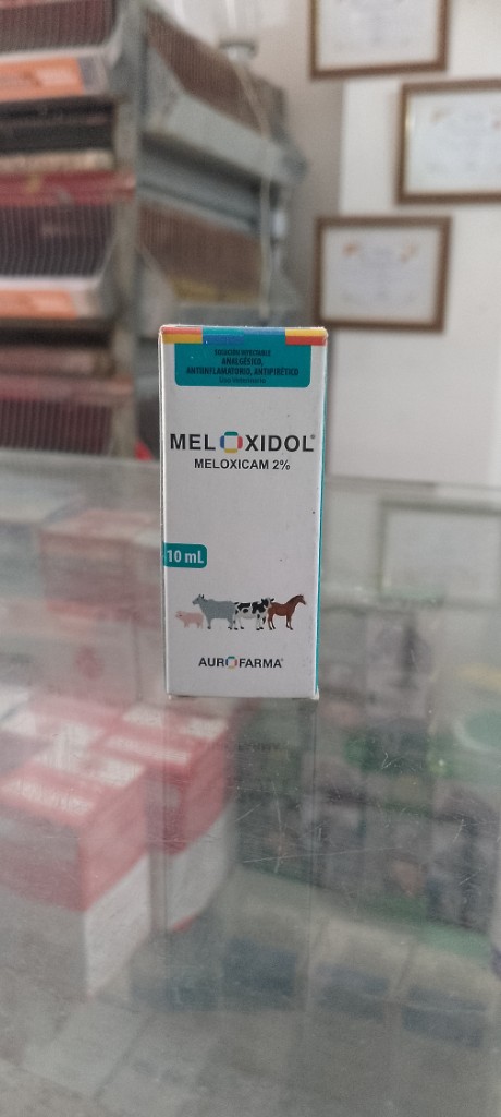 Meloxidol 10 mL