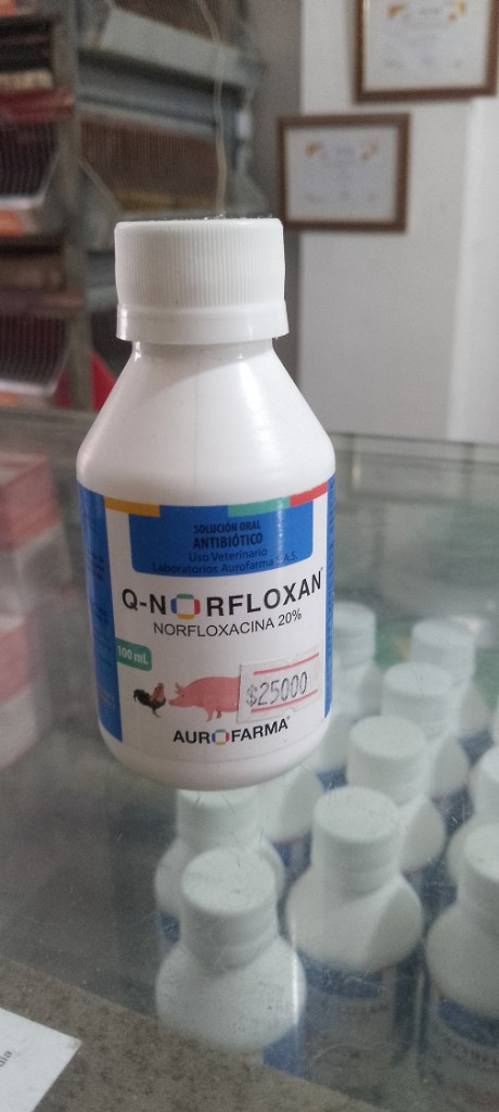 Q-NorfloxaN Norfloxacina 20% 100ml