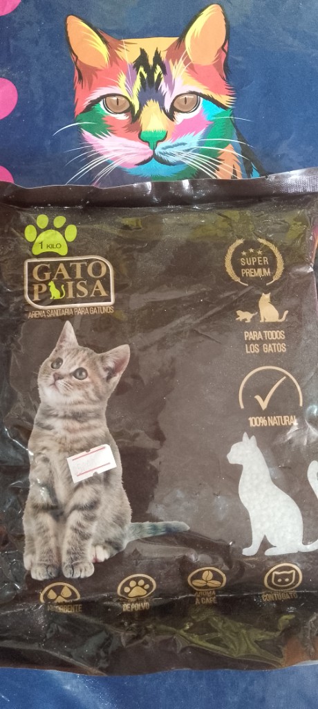 Gato Posa arena negra 1kg