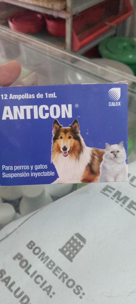 ANTICON 12 ampollas