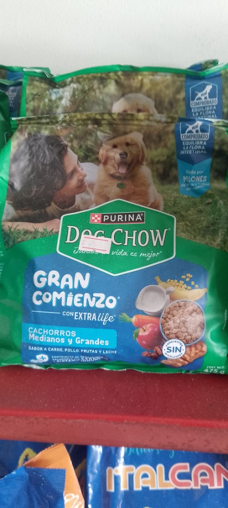 Purina Dog Chow Gran Comienzo cachorro mediano y grande *475g