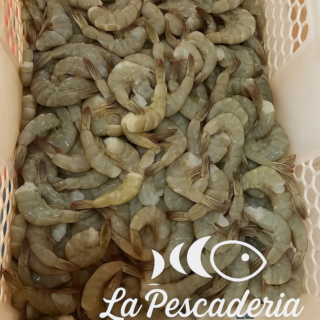 Langostinos fresco (grandes)sin cabeza