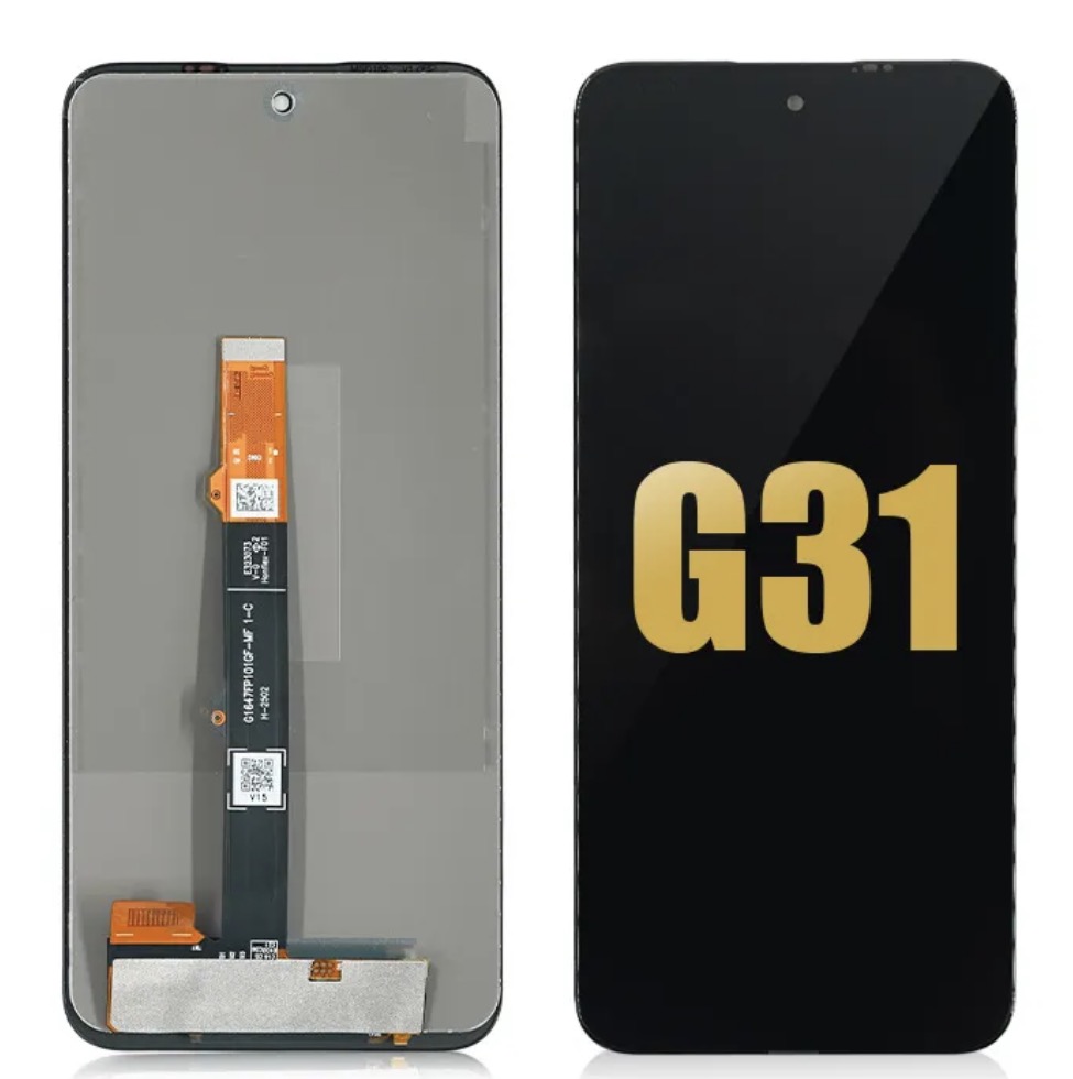 G31-G41-G71