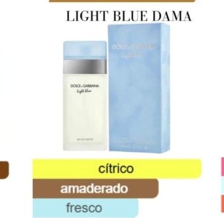 LIGHT BlUE DAMA D&G